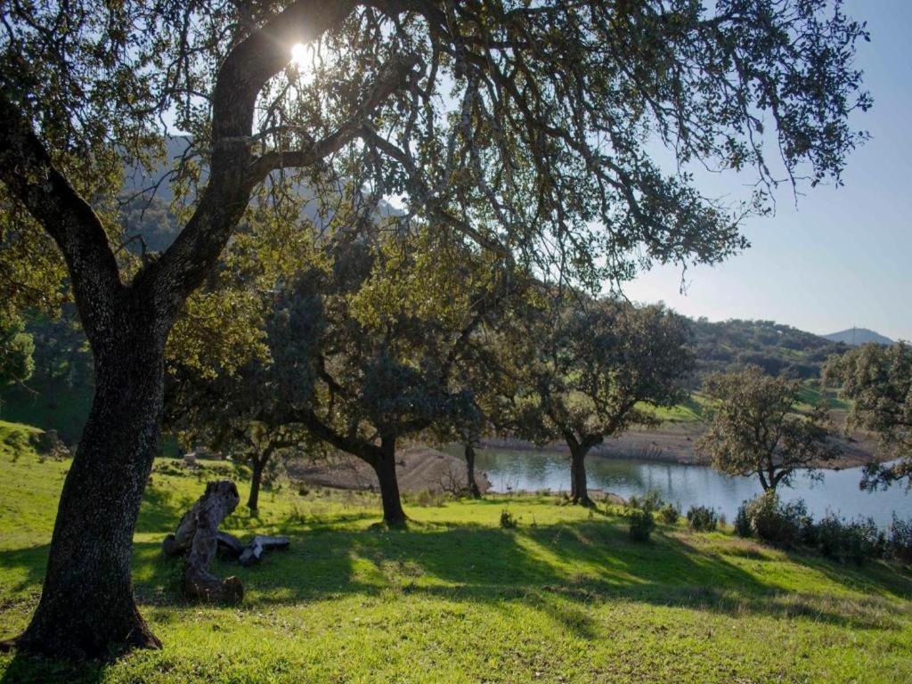 Finca La Vicacaria Limonero Zufre Eksteriør bilde