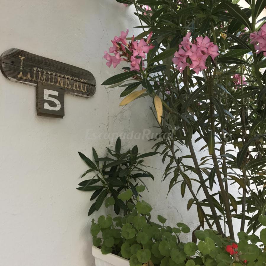 Finca La Vicacaria Limonero Zufre Eksteriør bilde