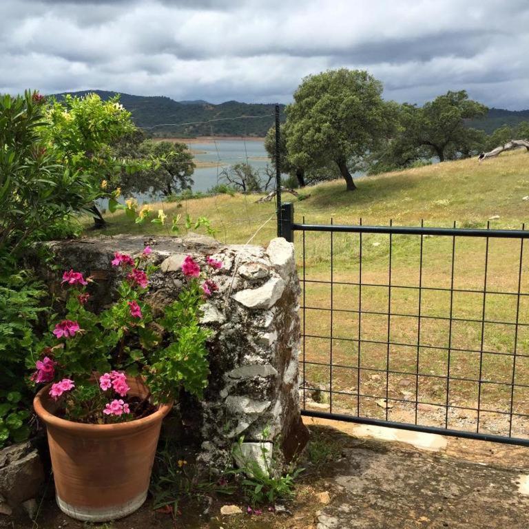 Finca La Vicacaria Limonero Zufre Eksteriør bilde